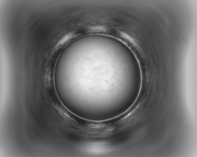 X0000085731403200703160954