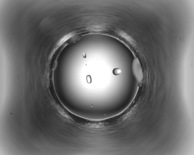 X0000085731410200703160955