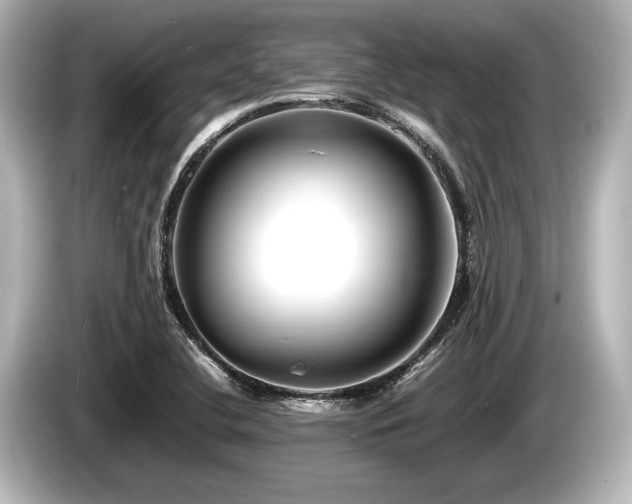 X0000085731412200703160955