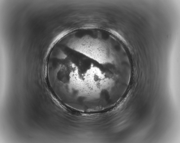 X0000085731413200703160955