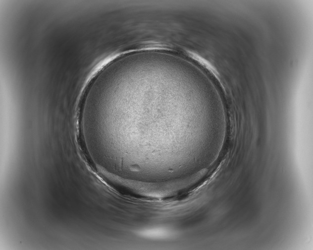 X0000085731415200703160955