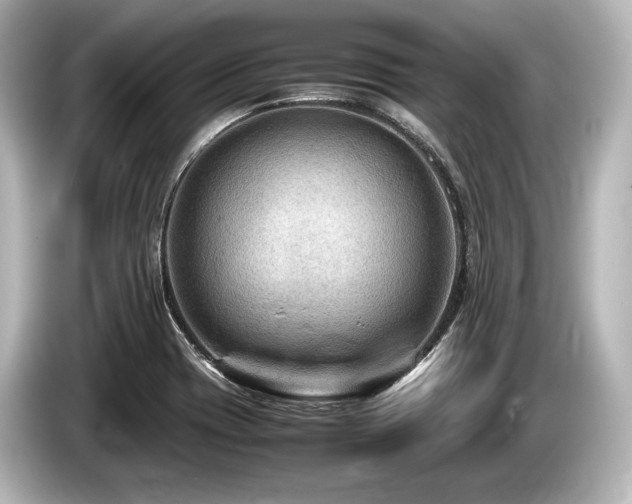 X0000085731417200703160955