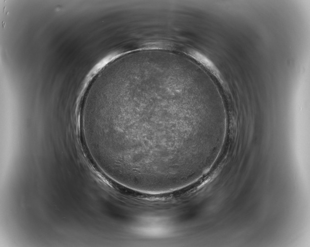 X0000085731419200703160955