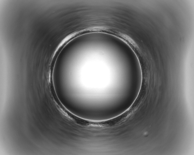 X0000085731420200703160955