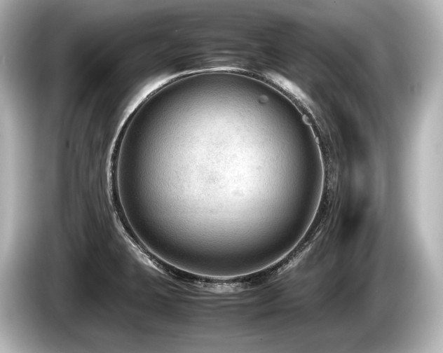 X0000085731423200703160955