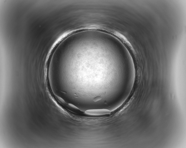 X0000085731424200703160955