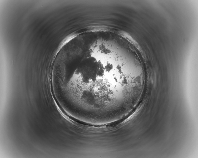 X0000085731425200703160955