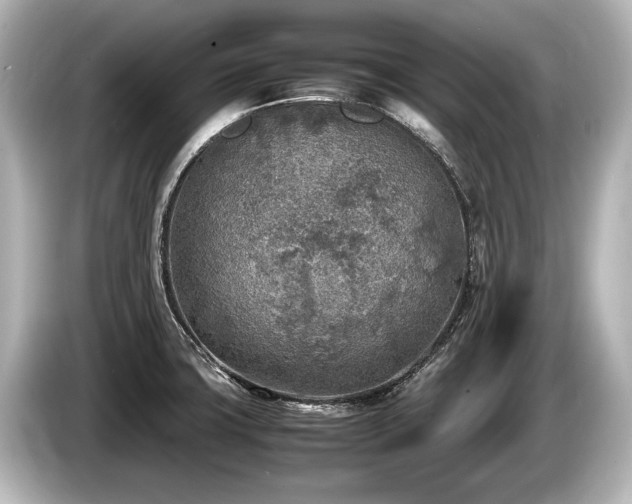 X0000085731427200703160955