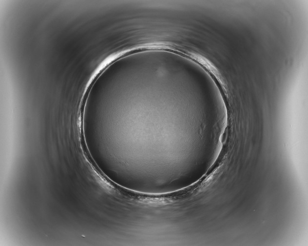 X0000085731428200703160955