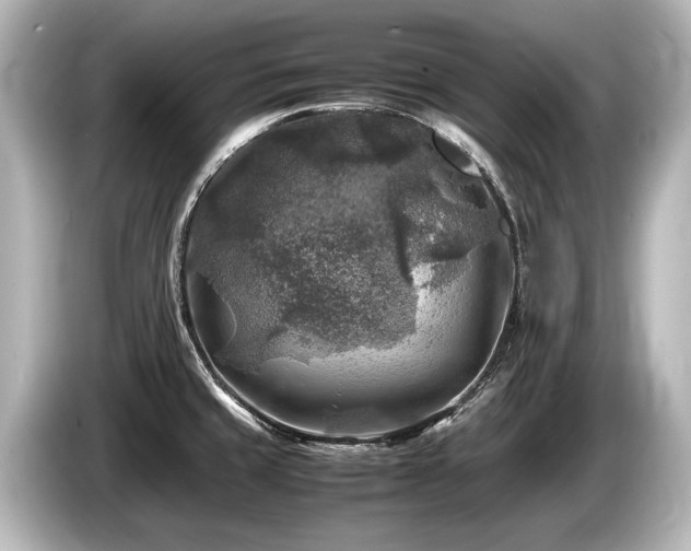 X0000085731429200703160955