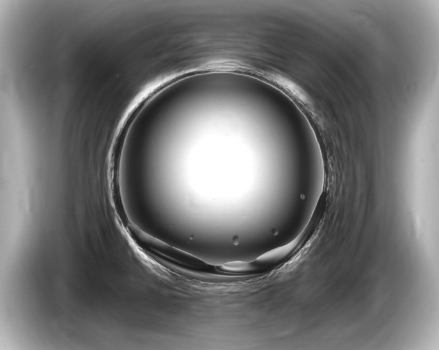 X0000085731430200703160955