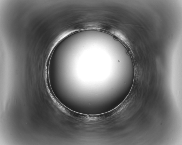 X0000085731431200703160955