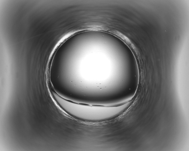 X0000085731432200703160955