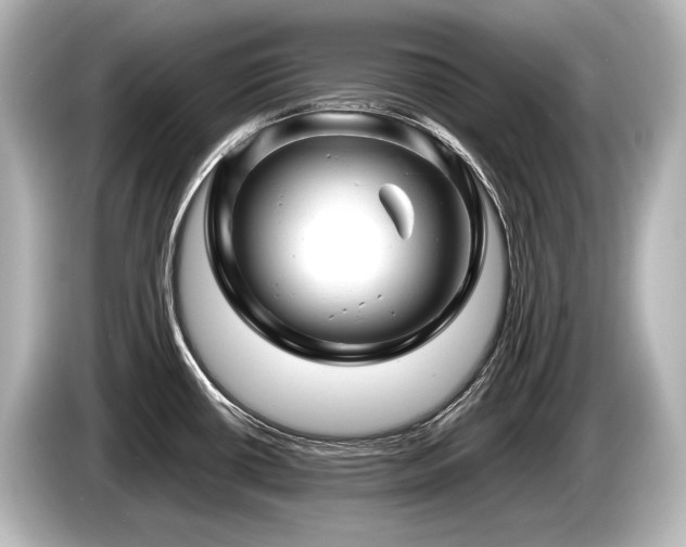 X0000085731434200703160955