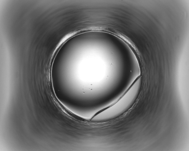 X0000085731436200703160955