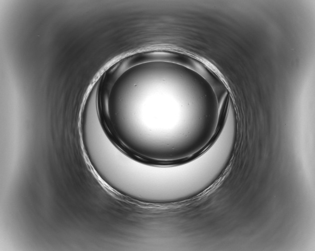 X0000085731438200703160955