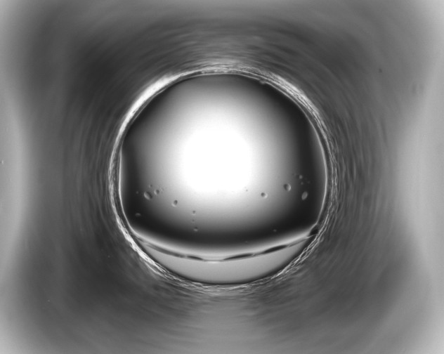 X0000085731440200703160955