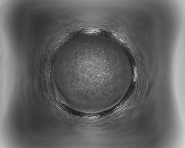X0000085731441200703160954