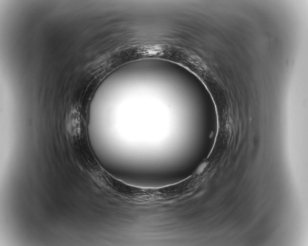 X0000085731442200703160954