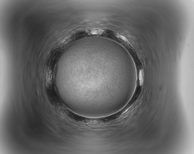 X0000085731443200703160954