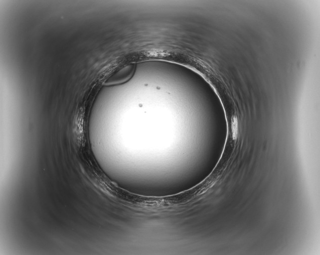 X0000085731444200703160954