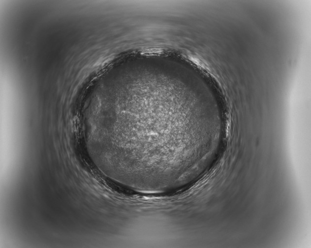 X0000085731445200703160954