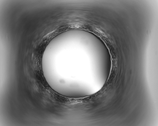 X0000085731446200703160954