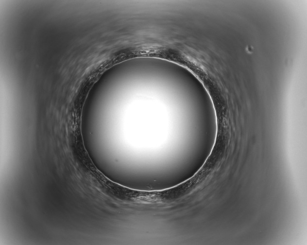 X0000085731447200703160954