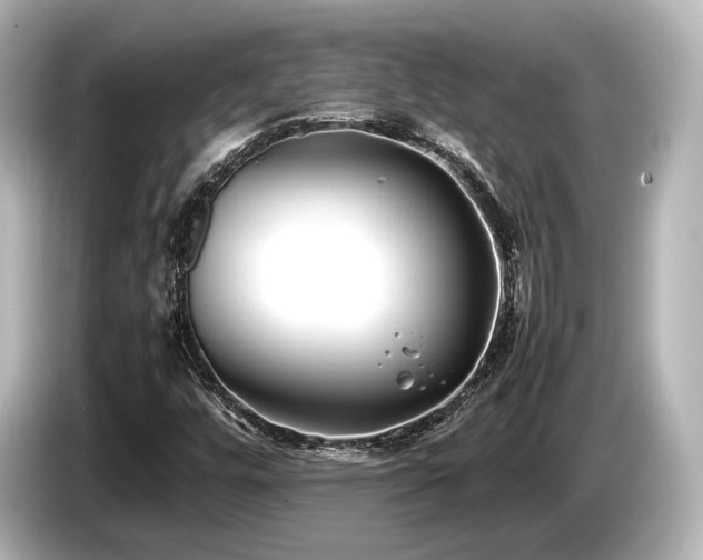 X0000085731448200703160954