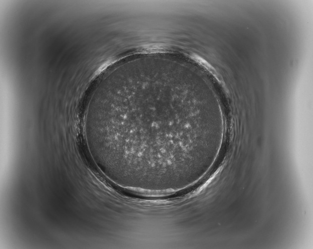 X0000085731449200703160954