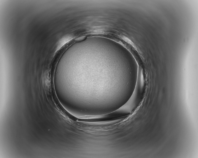 X0000085731450200703160954