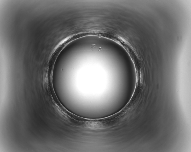 X0000085731452200703160954