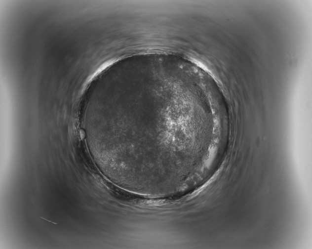 X0000085731453200703160954