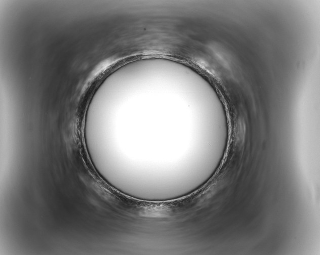 X0000085731454200703160954