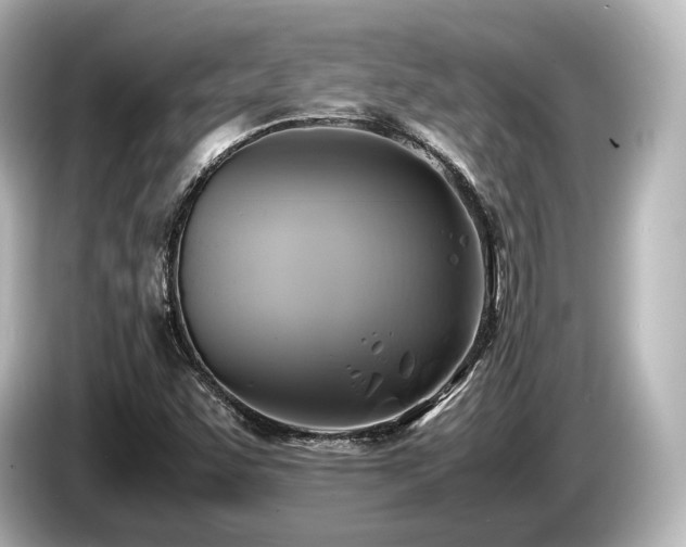 X0000085731455200703160954