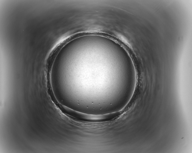 X0000085731456200703160954