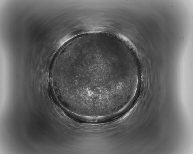 X0000085731457200703160954