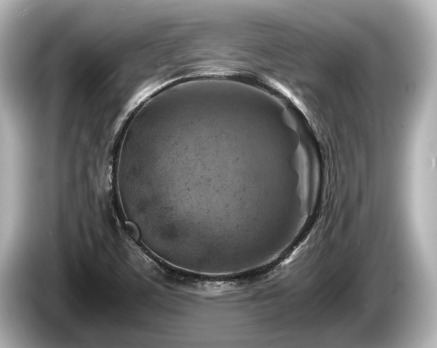 X0000085731459200703160954