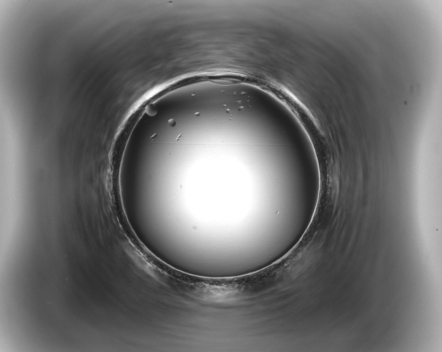 X0000085731460200703160954