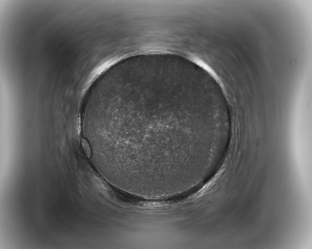 X0000085731461200703160954