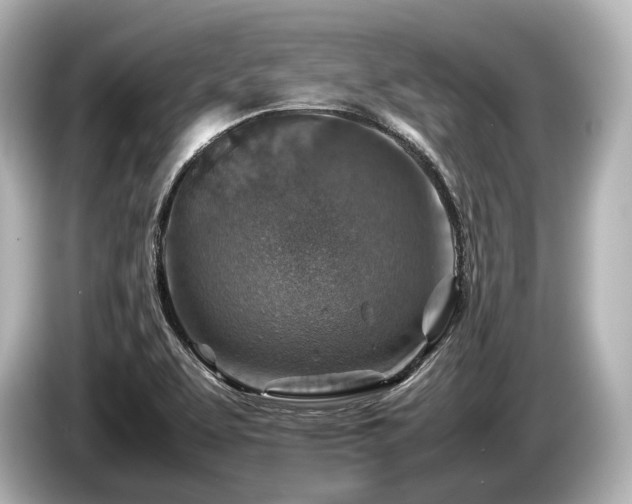 X0000085731463200703160954