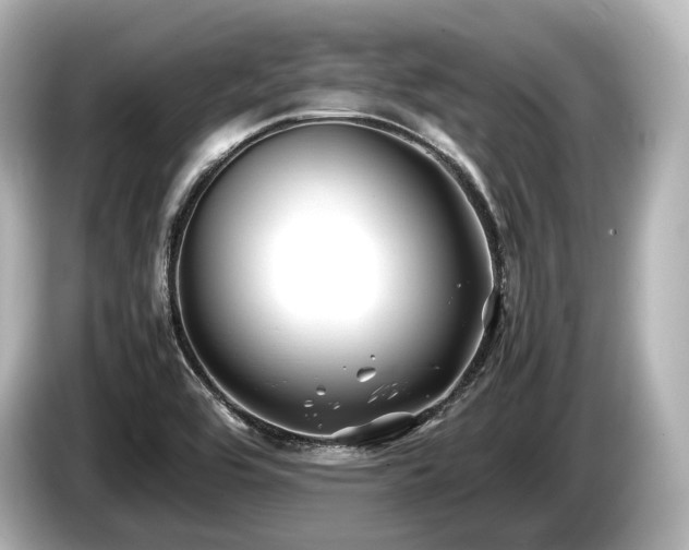 X0000085731464200703160954