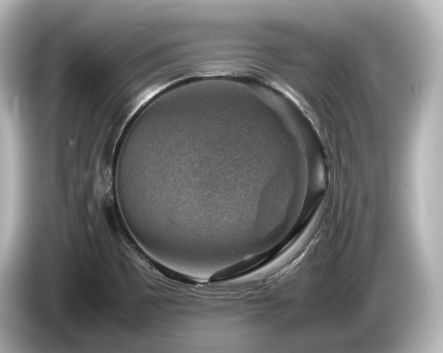 X0000085731465200703160954