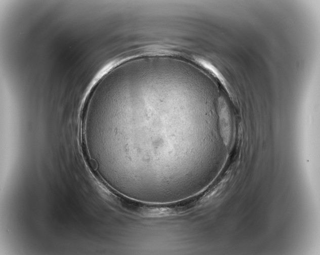 X0000085731467200703160954