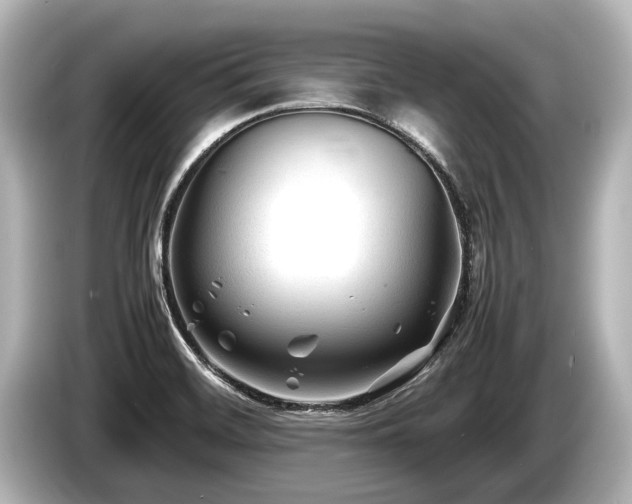 X0000085731468200703160954