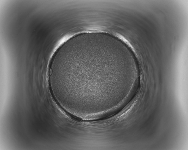 X0000085731469200703160954