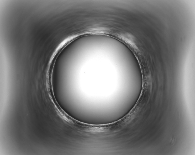 X0000085731470200703160954