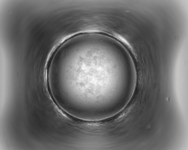 X0000085731472200703160954