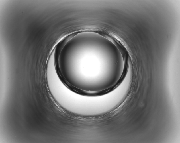 X0000085731473200703160954