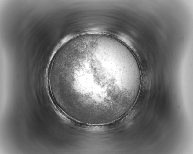 X0000085731474200703160954